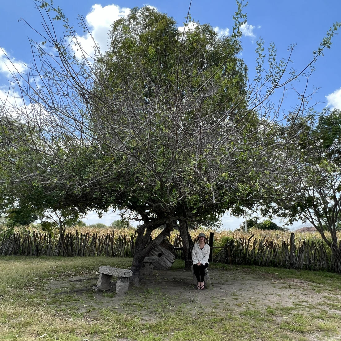 Mariana sentada à sombra de um umbuzeiro no Museu Casa de Maria Bonita (Paulo Afonso - BA). 22 de setembro de 2022.